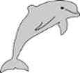 ein niedlicher Delfin spielt mit einem Wasserball