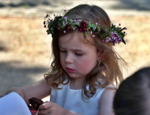 Hochzeit programmbeitrag