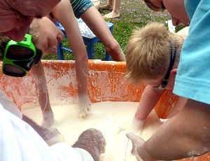 Anrühren von Maisstärke und Wasser in einer Wanne