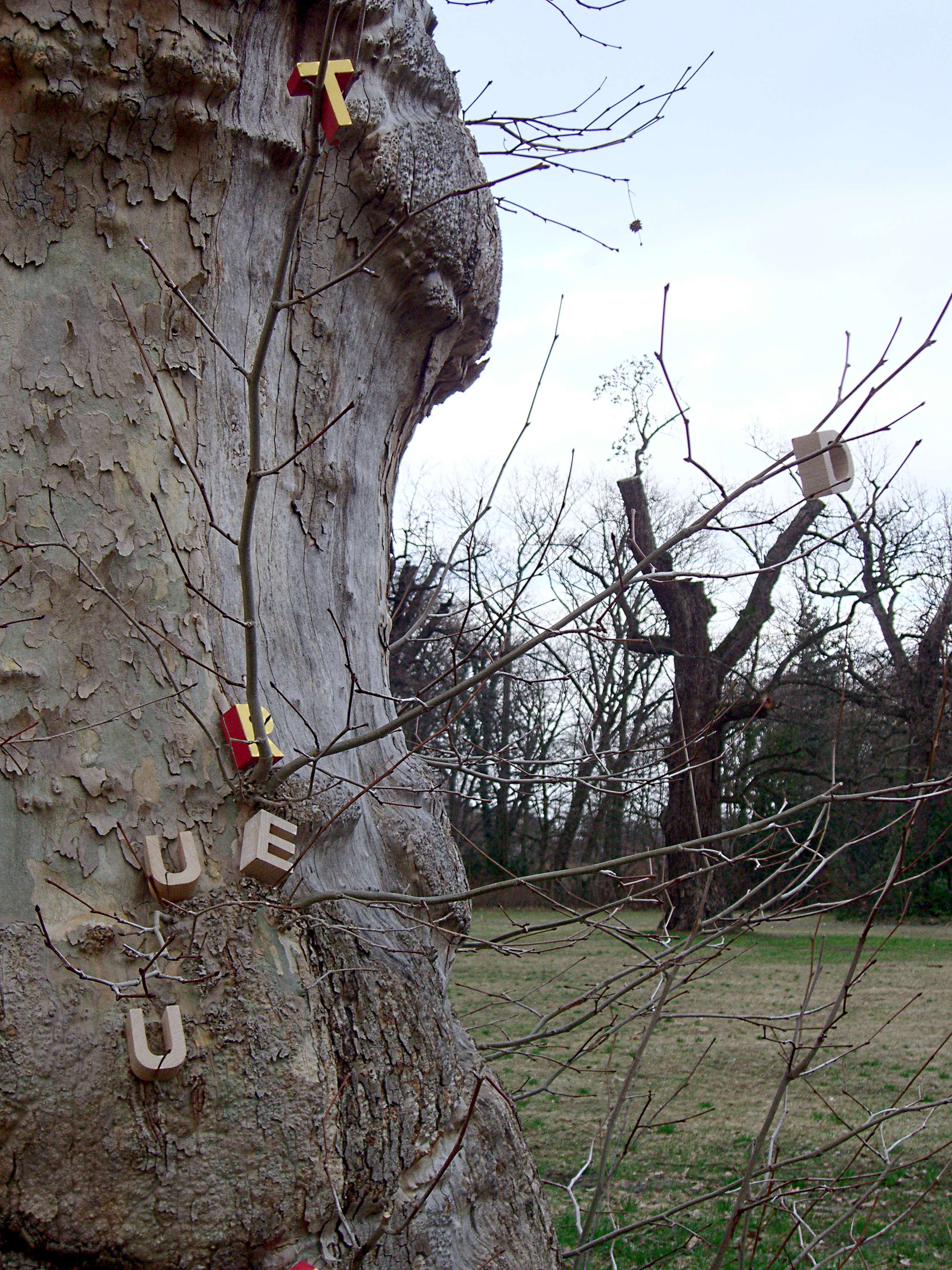 Baum mit Holzbuchstaben