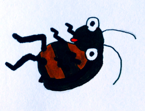 Zeichnung eines Käfers