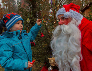 Weihnachtsbaumschmücken mit großer Hingabe