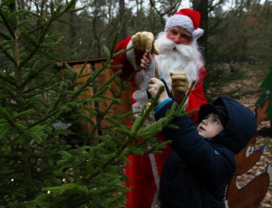 Weihnachtsbaumschmücken mit großer Hingabe